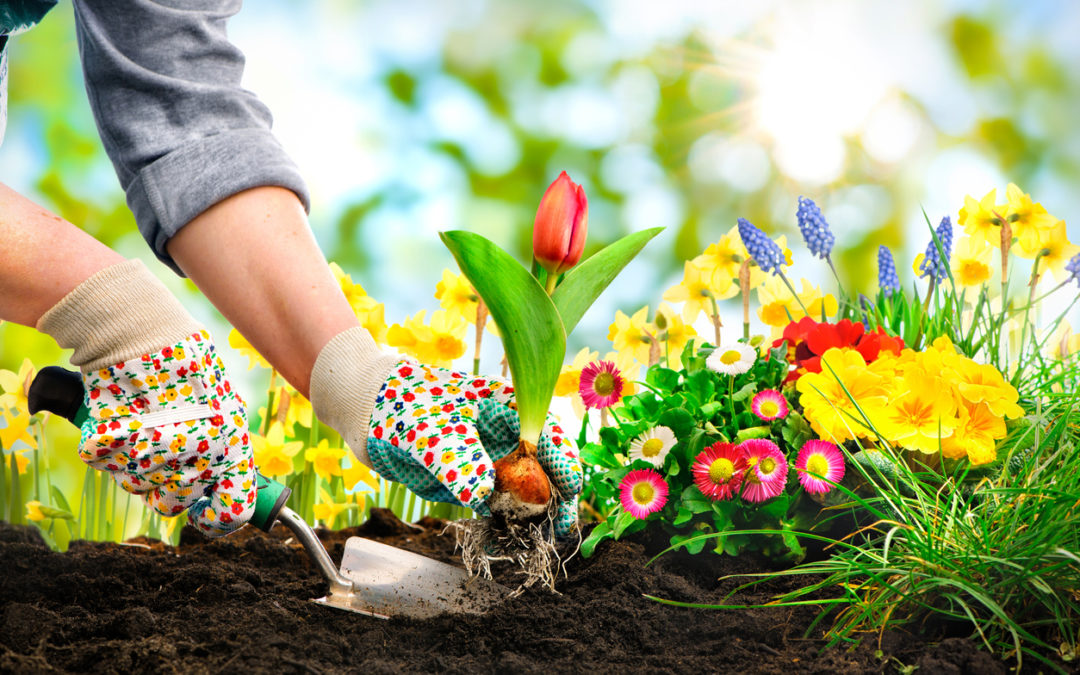 The Best Way to Plant Flowers in an Outdoor Garden