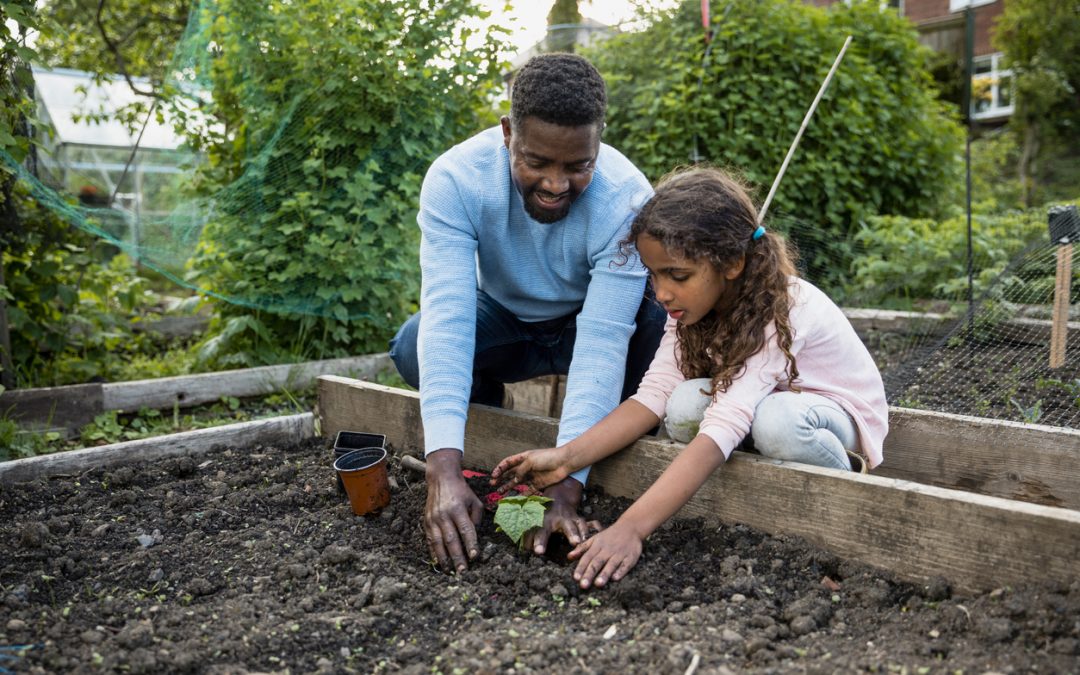 5 Tips for Planting and Caring for a Vegetable Garden