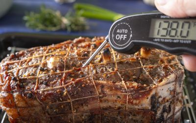 How to Use a Meat Thermometer in Six Simple Steps